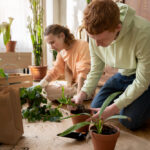 Green Living Hacks for Tiny Homes